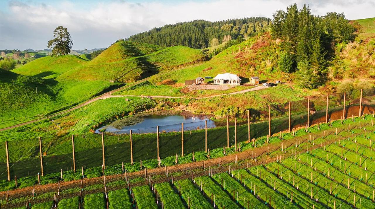 Orchard Valley Glamping 奥托罗杭阿 外观 照片