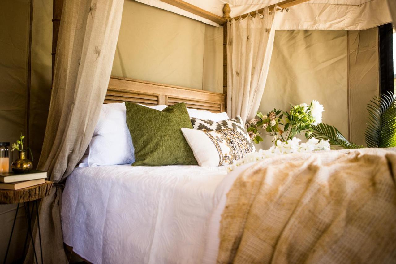 Orchard Valley Glamping 奥托罗杭阿 外观 照片