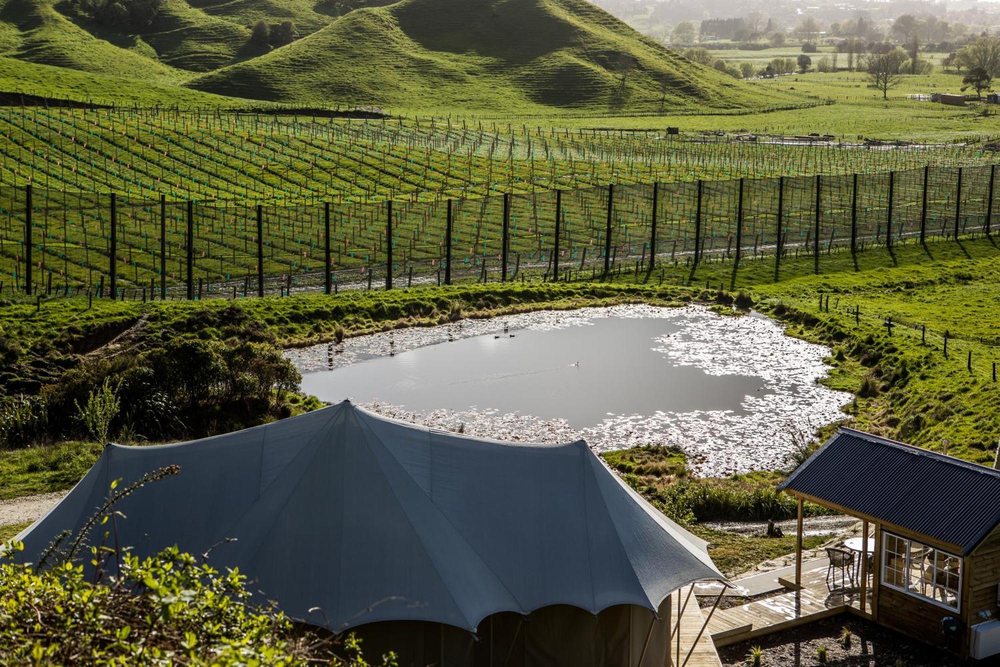 Orchard Valley Glamping 奥托罗杭阿 外观 照片
